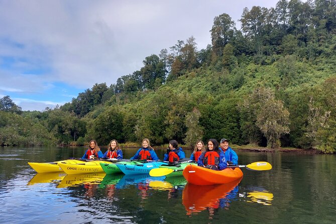 Kayak through the Sunken Forest of the Maullín River - Paddling into the Maullín River’s sunken forest