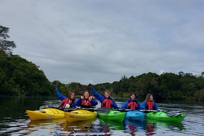 Kayak through the Sunken Forest of the Maullín River - A half-day route with a moderate physical demand