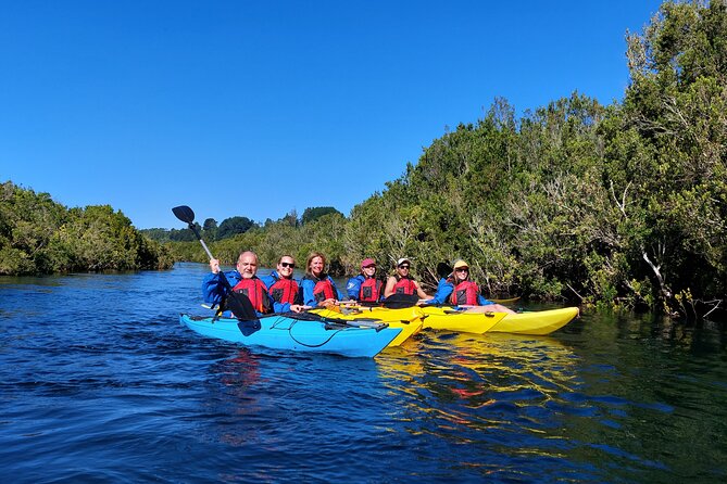 Kayak through the Sunken Forest of the Maullín River - What the guide adds to the day