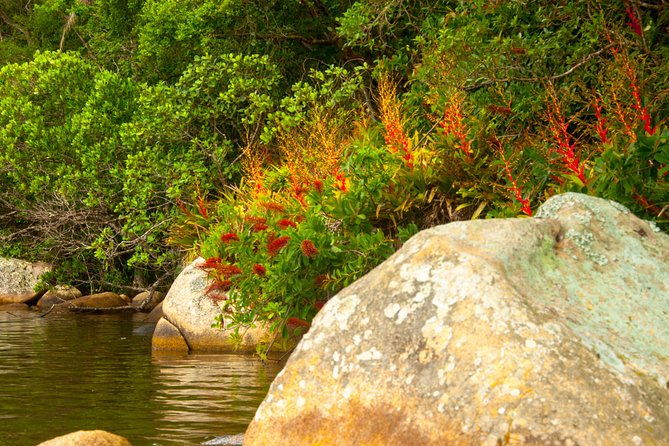 Kayak Water Trail in Red River Park by Adrenailha - Who will enjoy this paddle most
