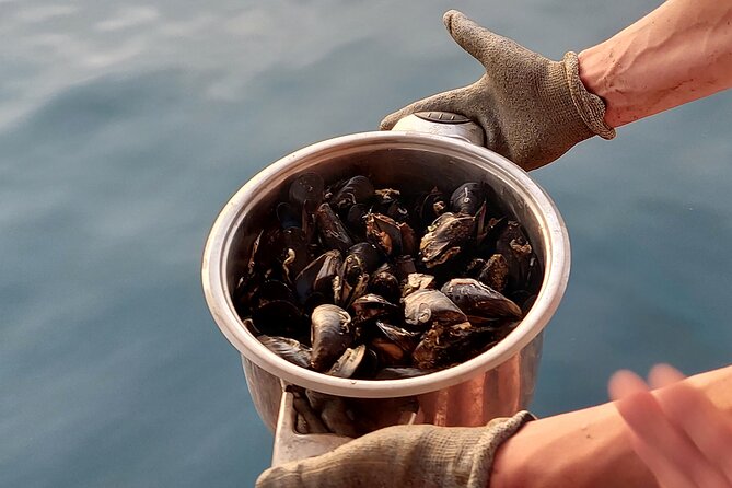 Kayaking and mussels tasting at Krka River estuary-private tours - What to pack for the four-hour trip