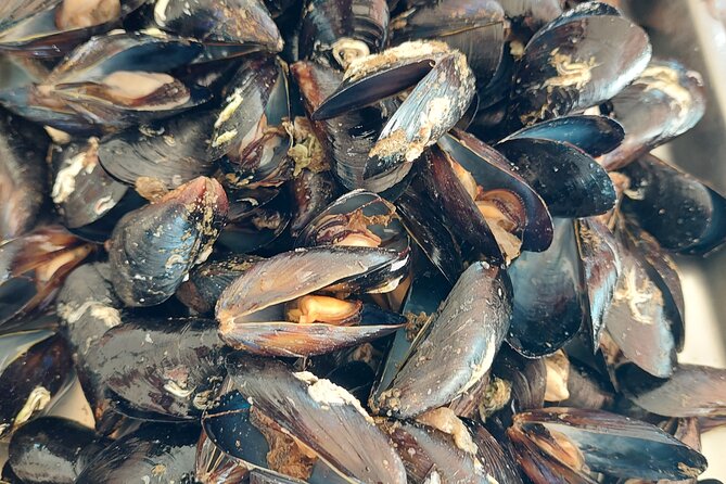 Kayaking and mussels tasting at Krka River estuary-private tours - Booking timing and cancellation rules