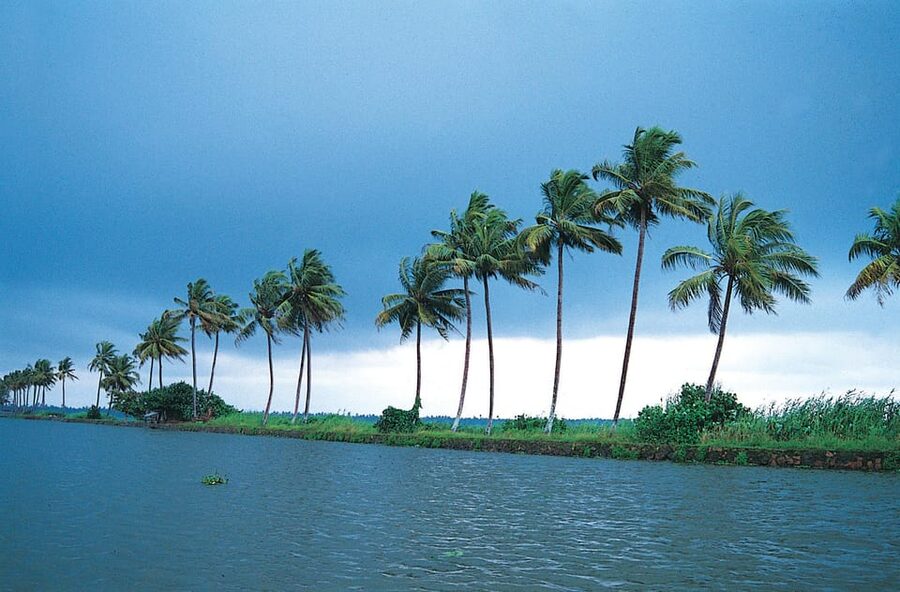 Kerala: Alappuzha River Cruise with Village Walk - Three hours on Alappuzha’s quiet side