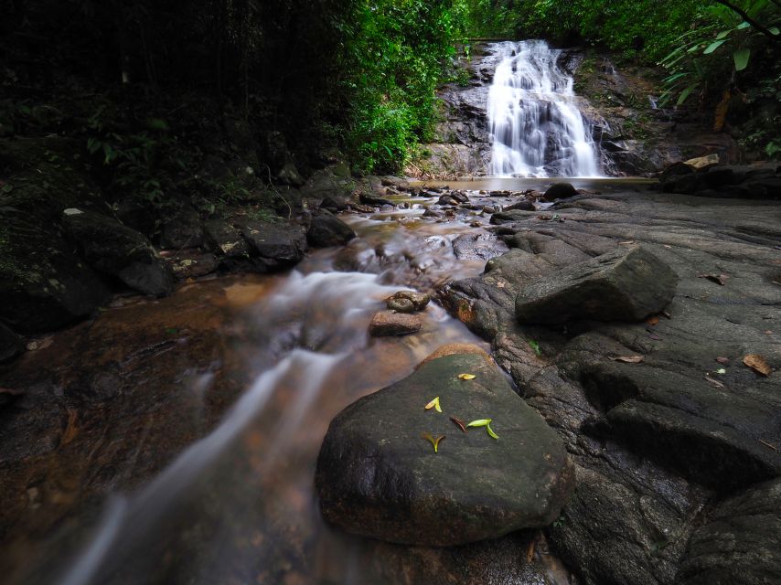 Khao Lak: Little Amazon Canoe Ride & Tam Nang Waterfall Tour - Key points to know before you book