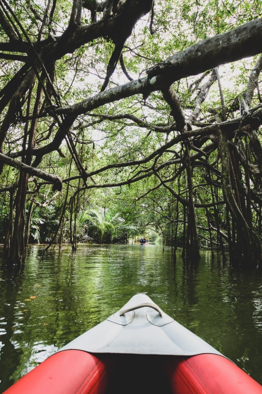 Khao Lak: Little Amazon Canoe Ride & Tam Nang Waterfall Tour - A realistic look at the half-day schedule