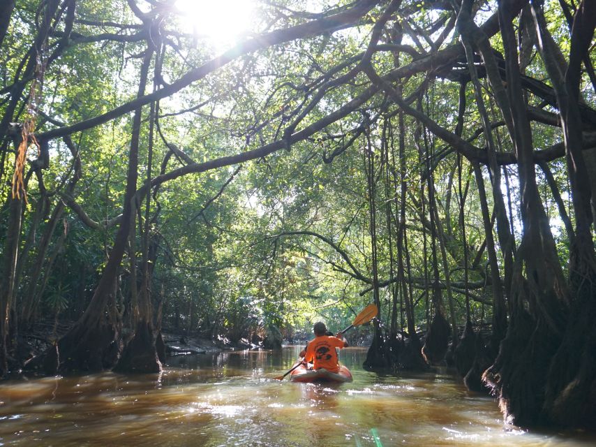 Khao Lak: Little Amazon Canoe Ride & Tam Nang Waterfall Tour - How much value do you get for $61?