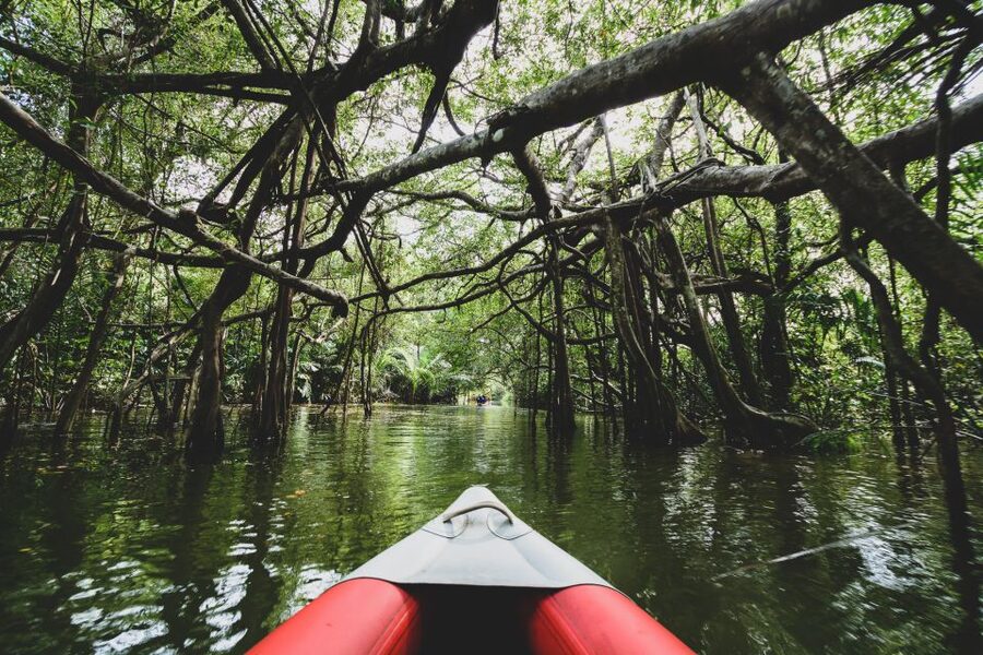 Khao Lak: Little Amazon Canoe Ride & Tam Nang Waterfall Tour - Weather, tides, and the rainy-season change