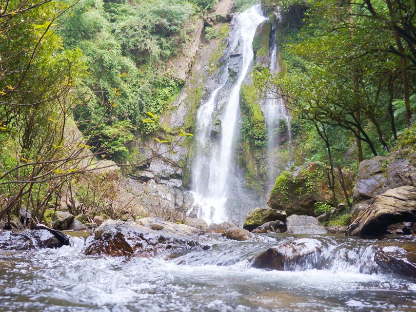 Khao Lak: Little Amazon Canoe Ride & Tam Nang Waterfall Tour - Should you book the Little Amazon and Tam Nang tour?