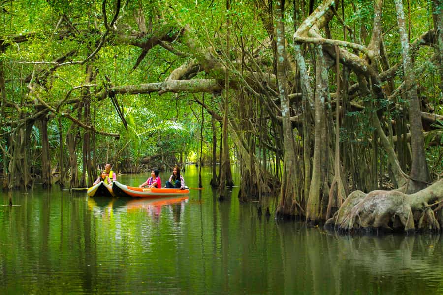 Khao Lak's Little Amazon: Canoe, Trek & Waterfall Day Trip - A full day built around three kinds of water