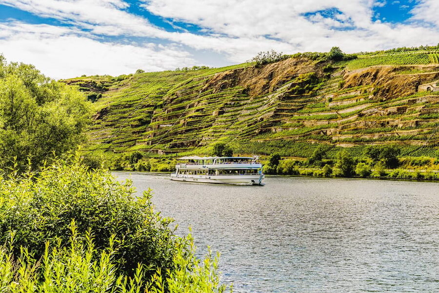 Koblenz: Panoramic Cruise on Moselle River to Winningen - Who will enjoy this cruise most