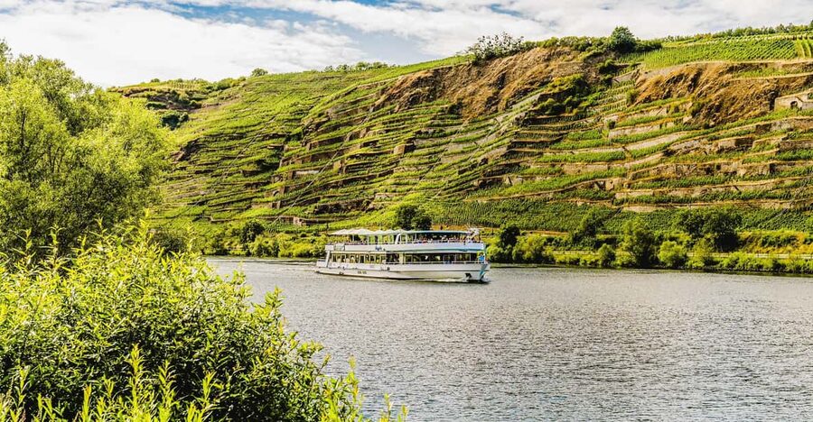 Koblenz: Panoramic Cruise on Moselle River to Winningen - From the Wild Rhine to the gentler Moselle