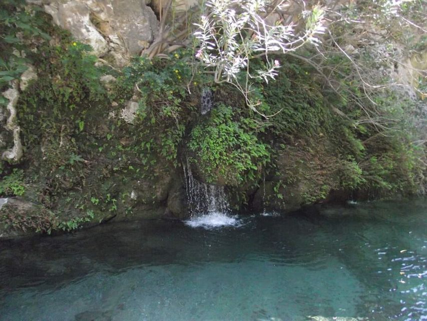 Kourtaliotiko Gorge River Trek with Lunch! Pick-up Avaliable - Should you book the Kourtaliotiko Gorge trek?