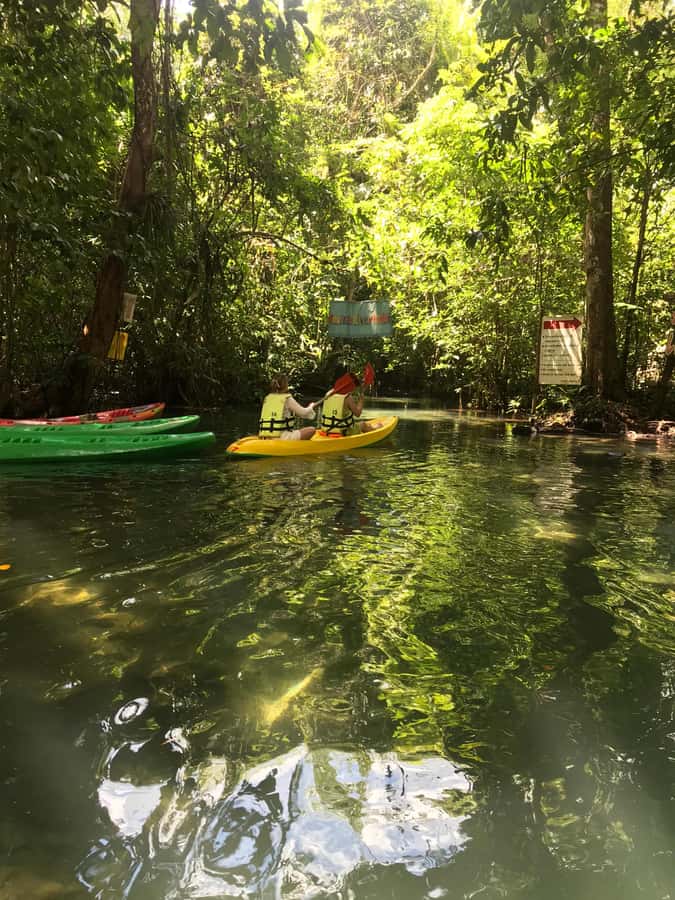 Krabi: Amazon Klong Srakaew Kayaking With Lunch - Key points to know before you go