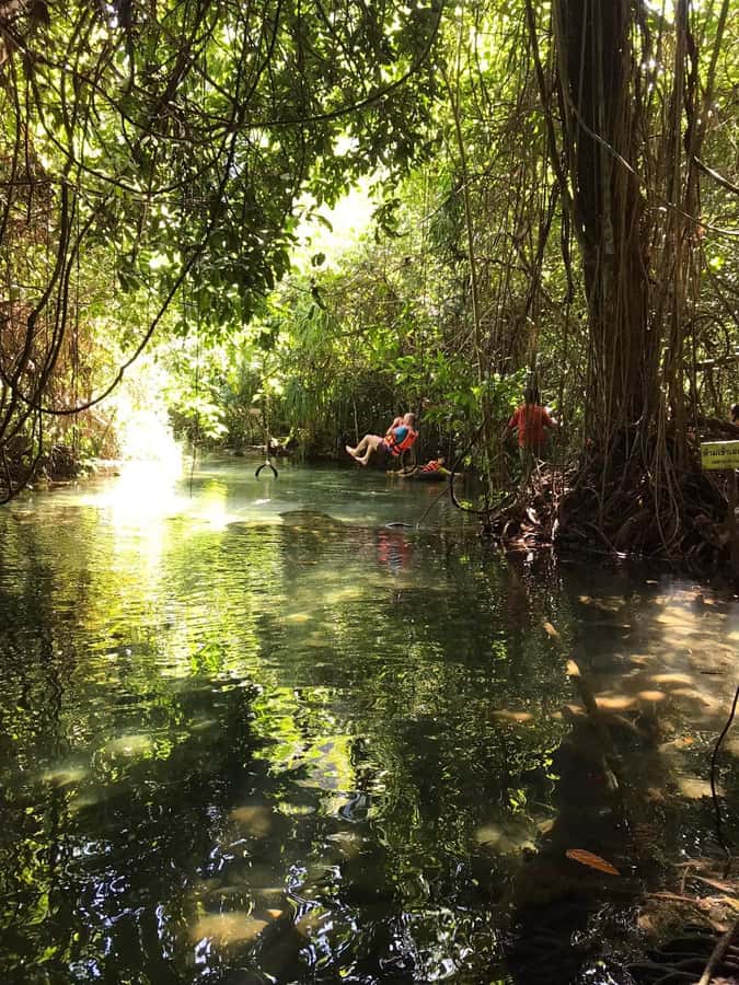 Krabi: Amazon Klong Srakaew Kayaking With Lunch - Floating with the current