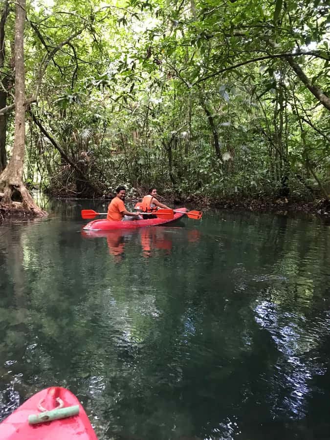 Krabi: Amazon Klong Srakaew Kayaking With Lunch - Lunch with fried rice, fruit, and drinks