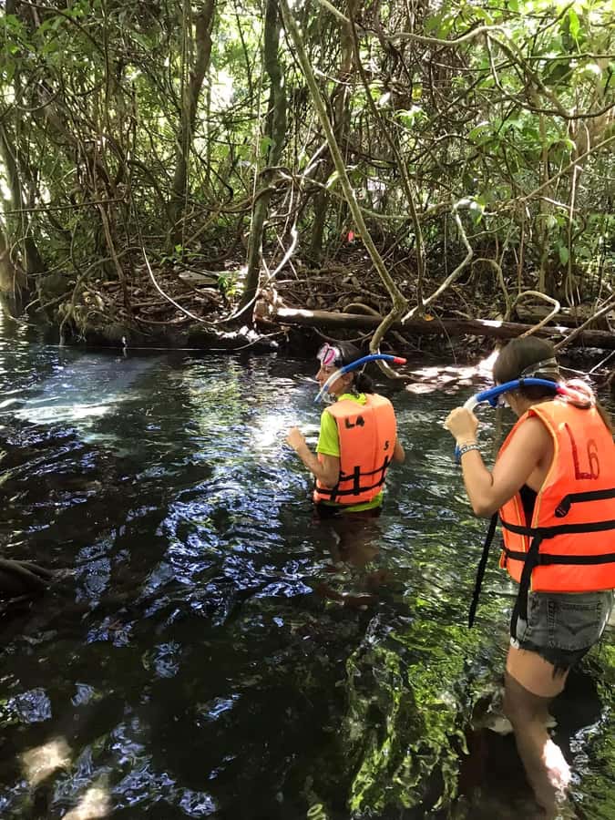 Krabi: Amazon Klong Srakaew Kayaking With Lunch - Starting with the Emerald Canal