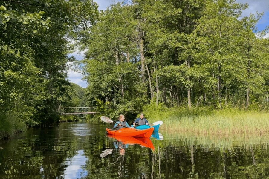 Kristiansand: River Kayaking Adventure - Weather, fitness, and who should book