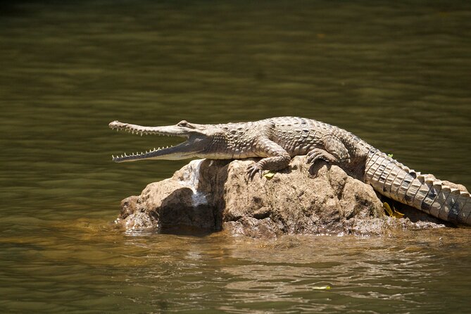Kuranda Riverboat Sightseeing Cruise - Finding the riverboat below Kuranda village
