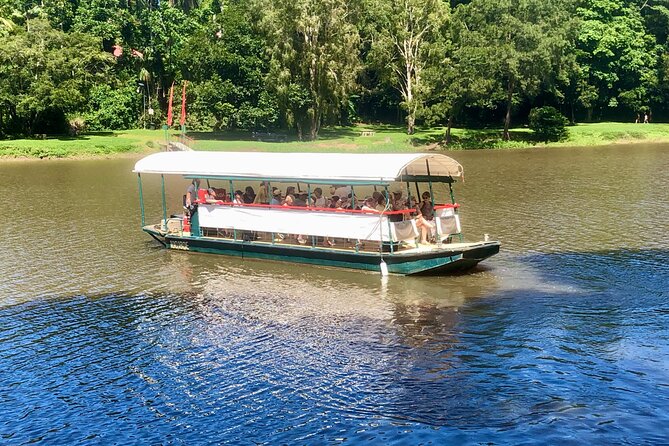 Kuranda Riverboat Sightseeing Cruise - Crocodiles, turtles, birds, and the chance of surprises
