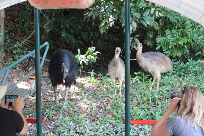 Kuranda Riverboat Sightseeing Cruise - Who will enjoy this most
