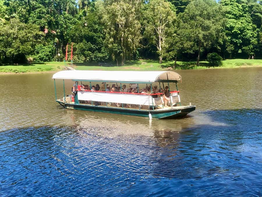 Kuranda: Riverboat Tour - A quiet look at the Barron River