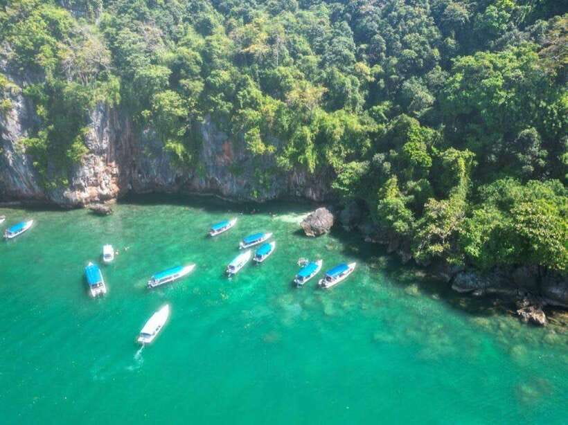 Langkawi: Half-Day Private Kilim River Mangrove Boat Tour - A private way into Kilim’s mangrove world