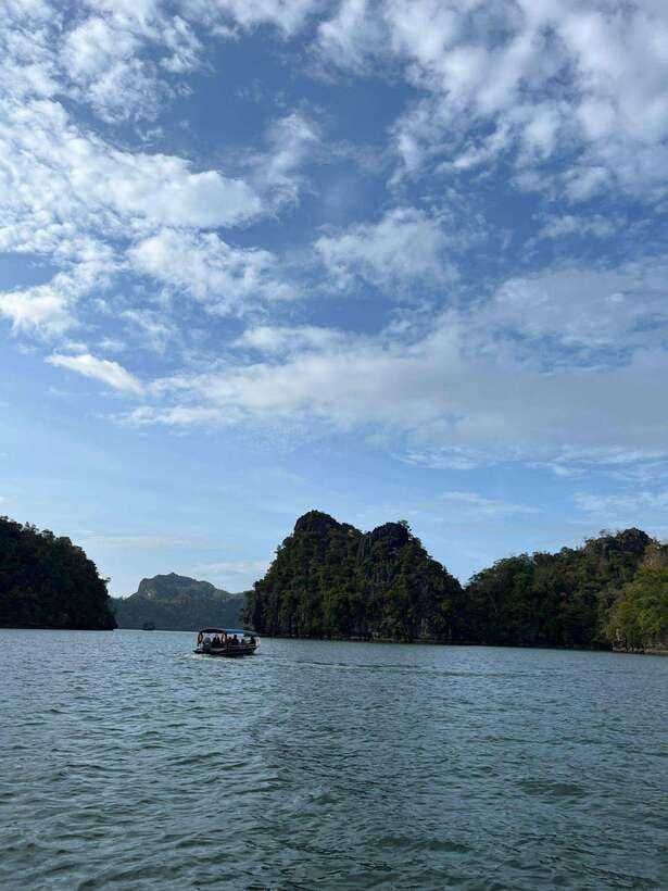 Langkawi: Half-Day Private Kilim River Mangrove Boat Tour - Starting at Checkpoint 2