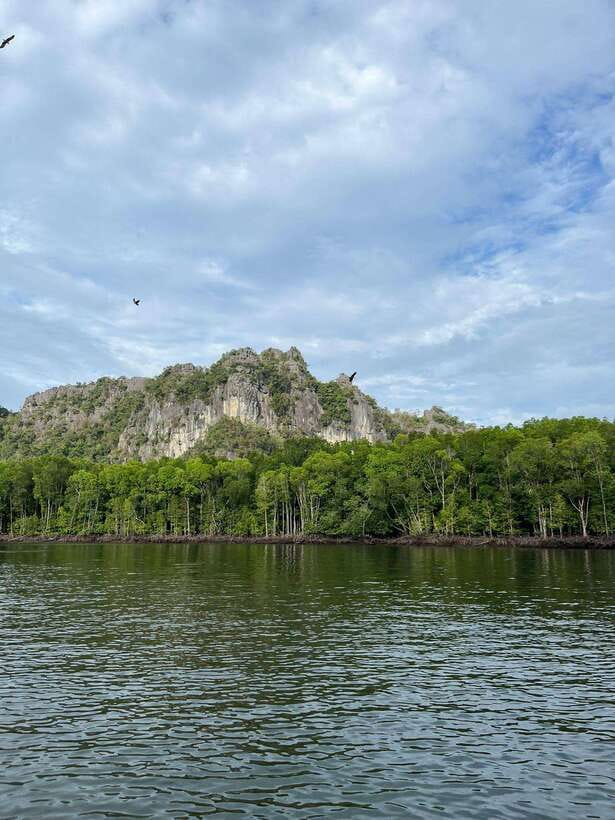 Langkawi: Half-Day Private Kilim River Mangrove Boat Tour - Eagles, mangroves, and the open river