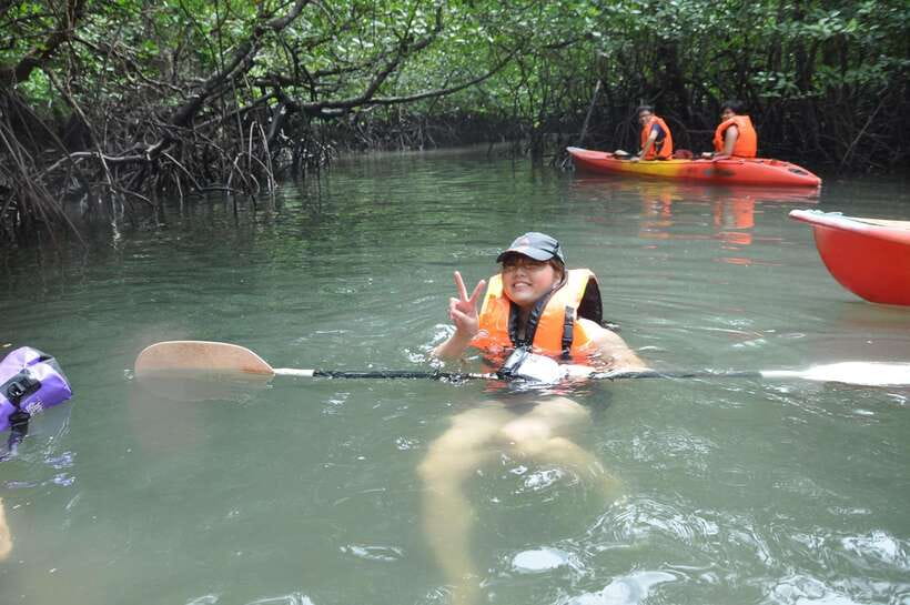 Langkawi: Kilim River Mangrove Safari Kayaking Tour - Wildlife without the speedboat chase