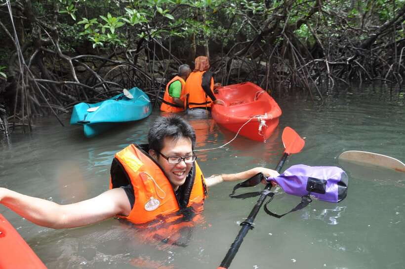 Langkawi: Kilim River Mangrove Safari Kayaking Tour - Guides who shape the experience