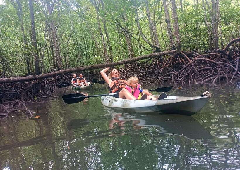 Langkawi: Kilim River Mangrove Safari Kayaking Tour - Transport, timing, and what to pack