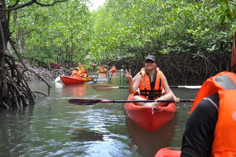 Langkawi: Kilim River Mangrove Safari Kayaking Tour - Is the $71 price good value?