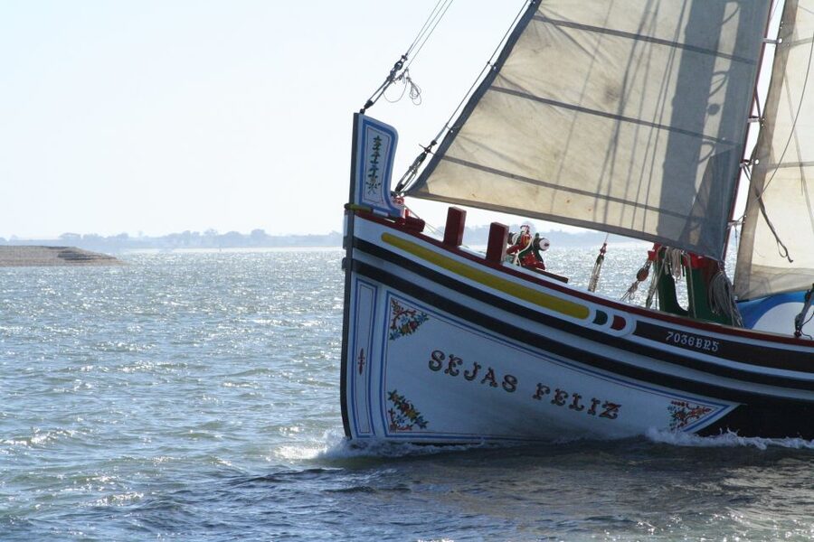 Lisbon: River Tagus Sightseeing Cruise in Traditional Vessel - What the Commentary Adds