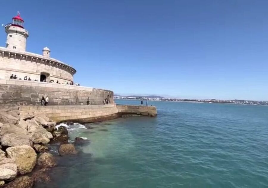 Lisbon: Tagus River Cruise to the Ocean & Dolphin Watching - Looking for Dolphins in the Atlantic