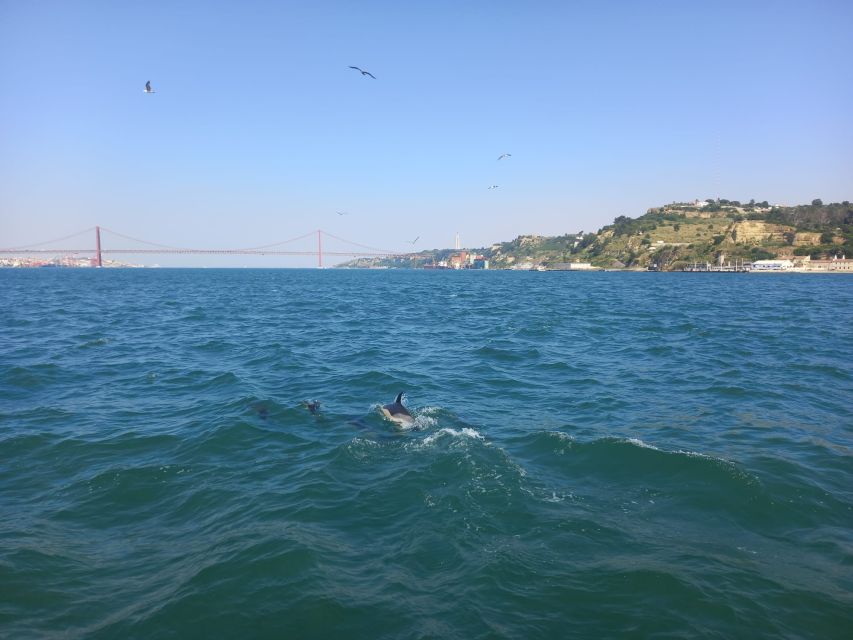 Lisbon: Tagus River Cruise to the Ocean & Dolphin Watching - Returning Past Belém’s Best Sights