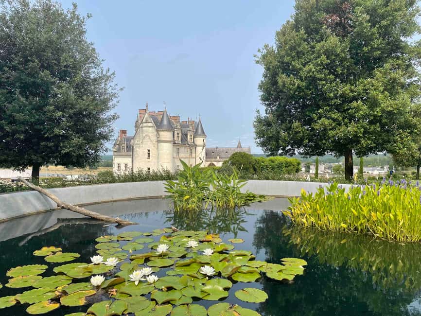 Loire Valley: Château Royal d'Amboise Entrance Ticket - Why Château Royal d’Amboise feels different from a standard castle visit