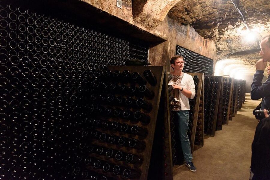Loire Valley: Vouvray Vineyard Tour and Wine Tasting - The guide and the small-group setting