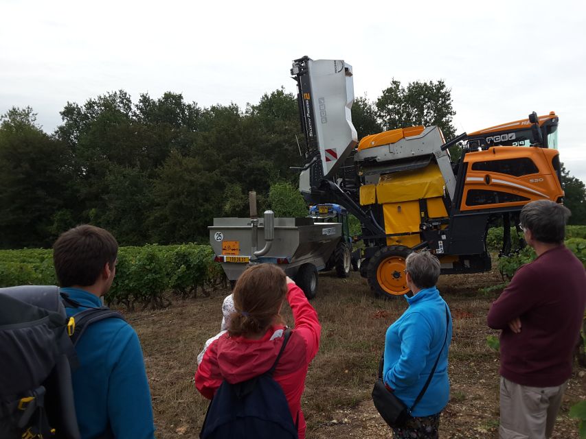 Loire Valley: Vouvray Vineyard Tour and Wine Tasting - FAQ