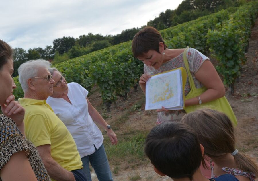 Loire Valley: Vouvray Vineyard Tour and Wine Tasting - Walking through the Vouvray vines