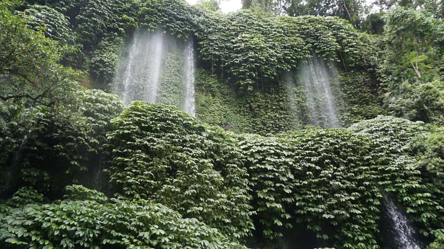 Lombok: Waterfall Benang Kelambu & River Rafting Trip - The guides can shape the whole day
