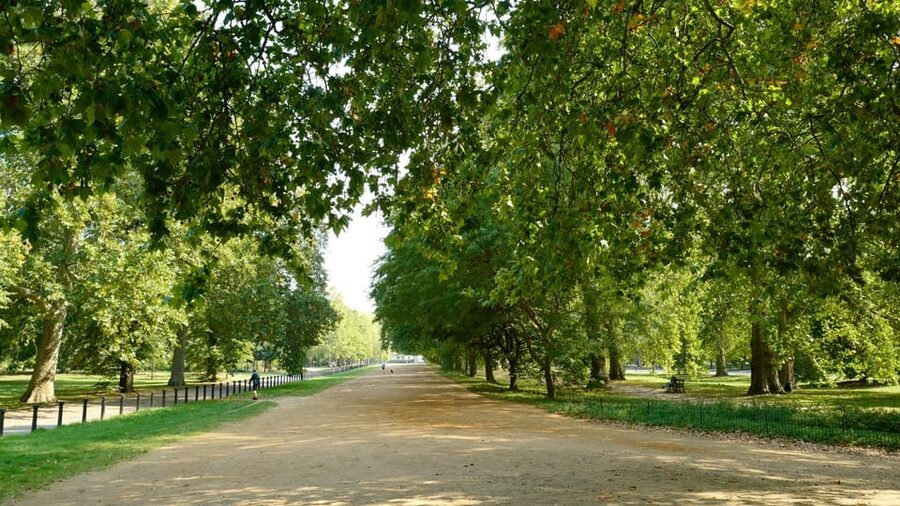 London: Hop-On Hop-Off Pass with Thames River Cruise 24 Hrs - What $45 buys you