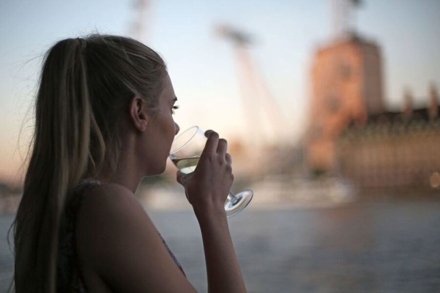 London: River Thames Evening Cruise with Bubbly and Canapés - Live music sets the tone