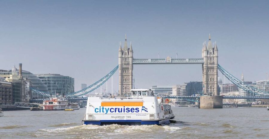 London: River Thames Hop-On Hop-Off Sightseeing Cruise - Food, seating, and comfort on board
