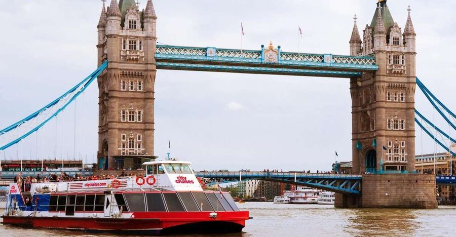 London: Thames River Cruise and 3-Hour Westminster Tour - London from the river