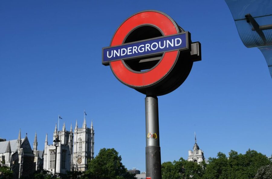 London: Thames River Cruise and 3-Hour Westminster Tour - Green Park and Buckingham Palace