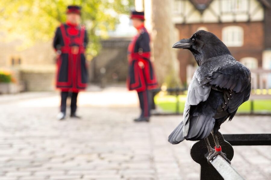 London: Tower of London, Thames Boat & Changing of the Guard - Westminster brings the monarchy into focus