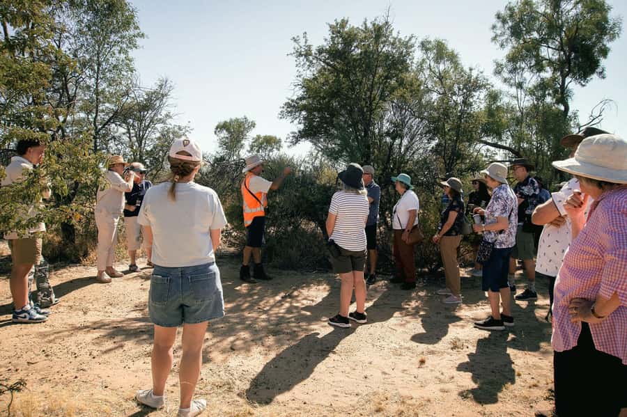 Longreach: Great Darr River Rail Run Outback Rail Adventure - Key points to know before you book