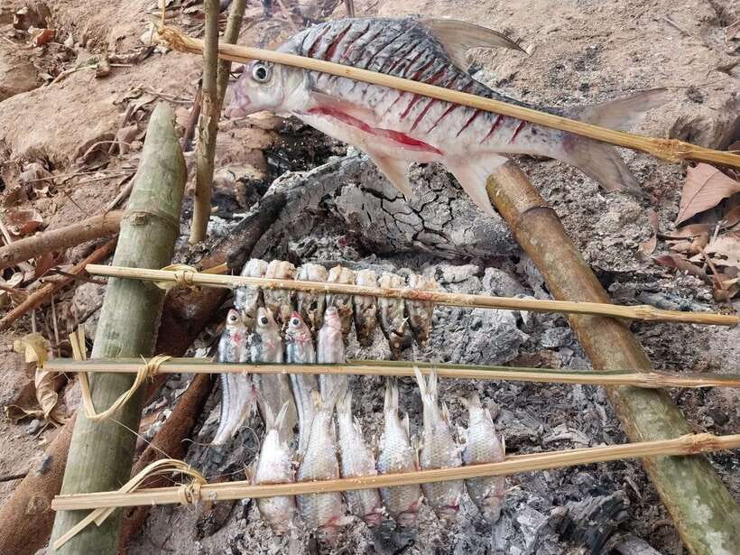 Luang Prabang: Mekong Fishing with a Local Fisherman & Lunch - A Mekong morning that feels connected to daily life