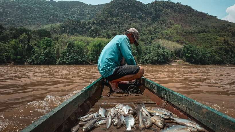 Luang Prabang: Mekong Fishing with a Local Fisherman & Lunch - Cruising past villages and forested mountains