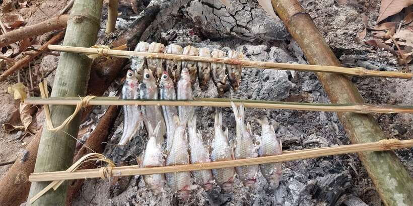 Luang Prabang: Mekong Fishing with a Local Fisherman & Lunch - The Lao whiskey village stop